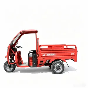 Hot Selling Overseas Electric Tricycle High Quality Cargo Tricycle - detail 18