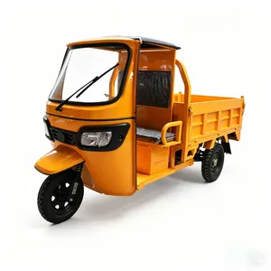 Hot Selling Overseas Electric Tricycle High Quality Cargo Tricycle - detail 19