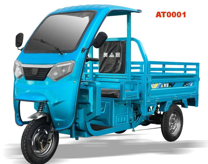 Electric Cargo Tricycle 3 Wheeler Electric Tricycle with Simple Canopy for Daily Transport Trike 60V 1000W 500kg Factory Direct - detail 1