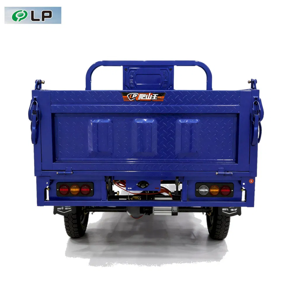 Pressure Resistant Electric Self-Unloading Cargo Tricycle for Fresh Produce Delivery - Image 5