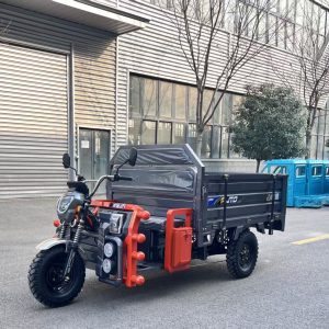 Electric Tricycle with Cargo Capacity for Urban Transportation Needs