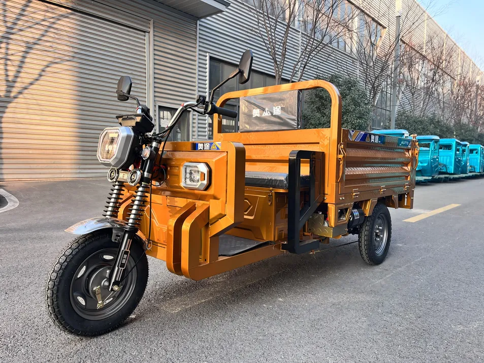 Electric Trike Heavy Load 3 Wheel Electric Tricycle Factory Direct E Tricycle for Cargo Haulage Work - detail 2