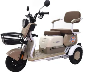 1200W Electric Closed Cabin Motorized Cargo Tricycle 60V 40ah for Adults - detail 14