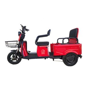 Ebike 3 Wheel Electric City Scooter 600W 800W Cargo Electric E-Tricycle