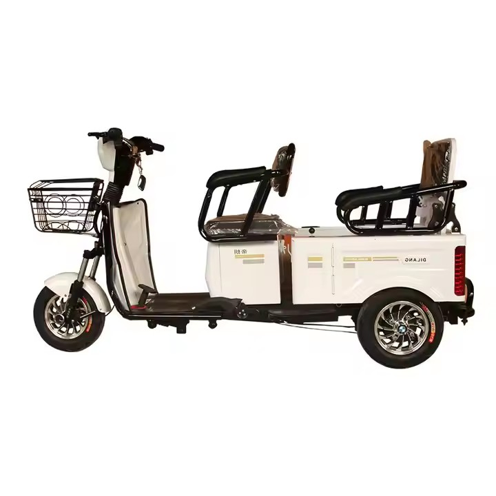 Ebike 3 Wheel Electric City Scooter 600W 800W Cargo Electric E-Tricycle - Image 4