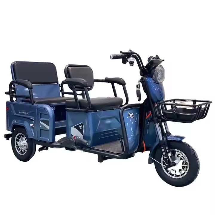 Ebike 3 Wheel Electric City Scooter 600W 800W Cargo Electric E-Tricycle - Image 5