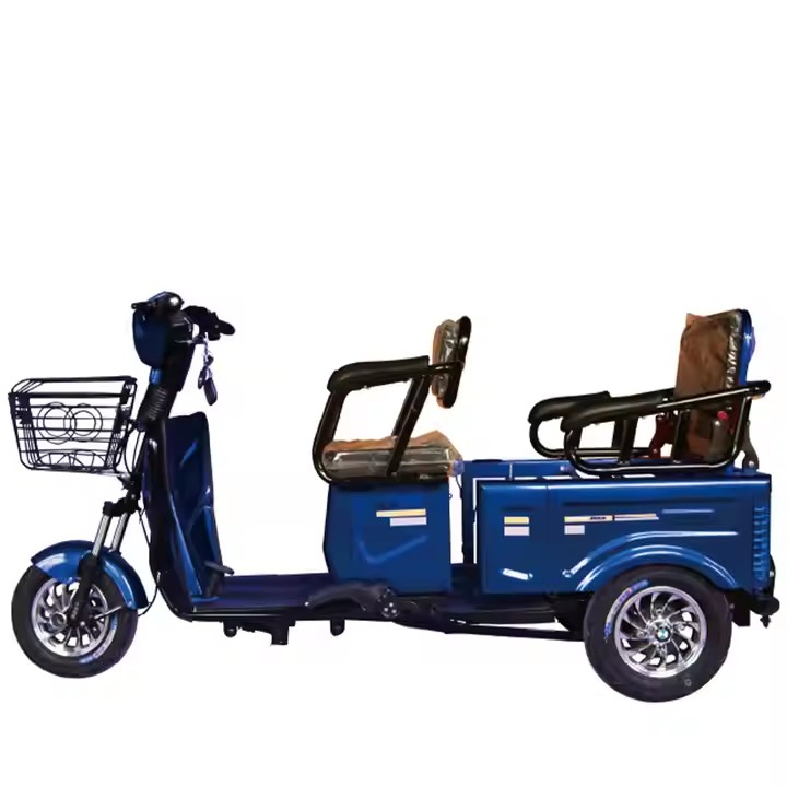 Ebike 3 Wheel Electric City Scooter 600W 800W Cargo Electric E-Tricycle - Image 6