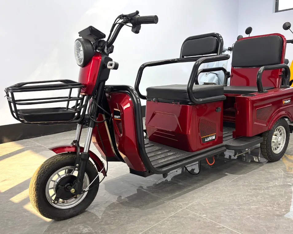 Ebike 3 Wheel Electric City Scooter 600W 800W Cargo Electric E-Tricycle - detail 1