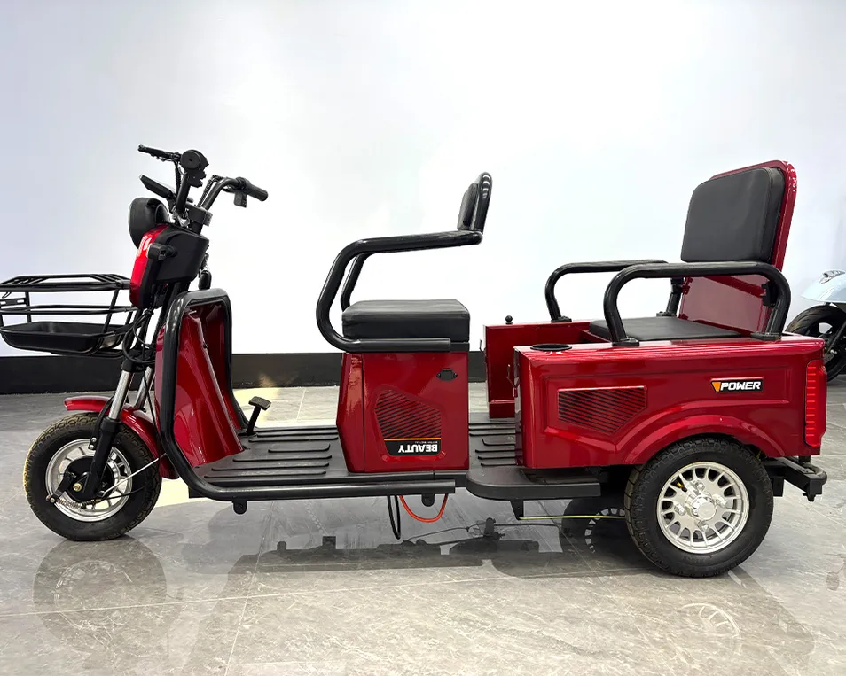 Ebike 3 Wheel Electric City Scooter 600W 800W Cargo Electric E-Tricycle - detail 2