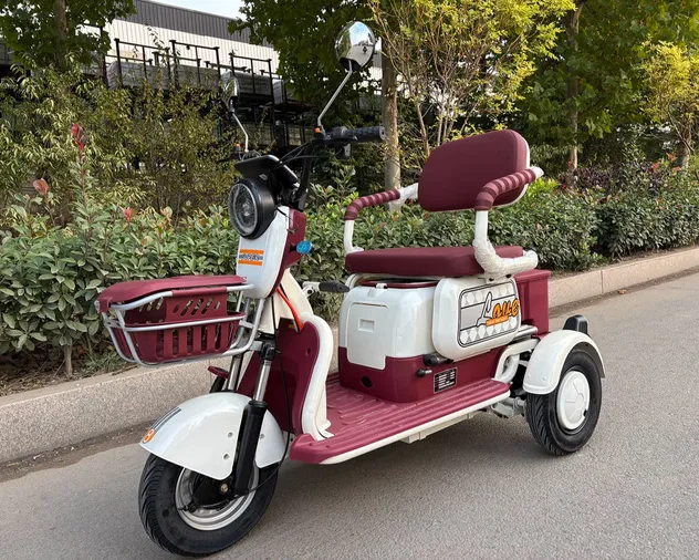 Ebike 3 Wheel Electric City Scooter 600W 800W Cargo Electric E-Tricycle - detail 11