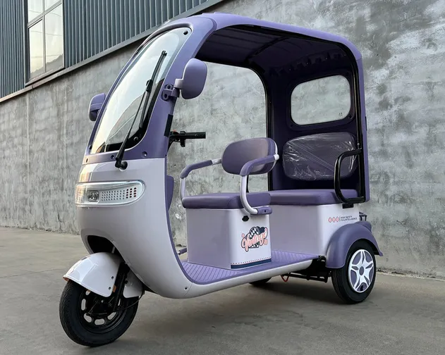 Ebike 3 Wheel Electric City Scooter 600W 800W Cargo Electric E-Tricycle - detail 13
