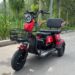 Ebike 3 Wheel Electric City Scooter 600W 800W Cargo Electric E-Tricycle - detail 19