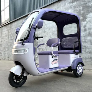 Ebike 3 Wheel Electric City Scooter 600W 800W Cargo Electric E-Tricycle - detail 20
