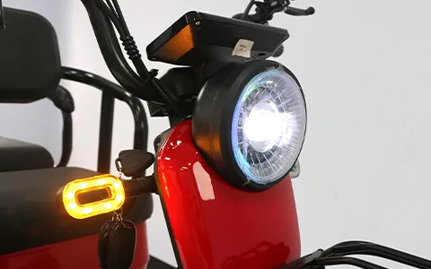 Ebike 3 Wheel Electric City Scooter 600W 800W Cargo Electric E-Tricycle - detail 3