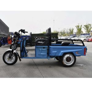 1200W,1500W Best,Cheap,Adult,New Closed Three Wheel,Wheeler,Electric Trike,Car,Vehicle,Scooter, Motorbike,Rickshaw,Motorcycle,Cargo Tricycle Exporters
