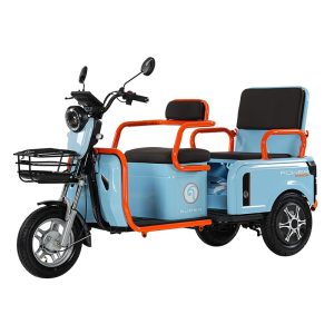 Stylish Electric Cargo Tricycle for Transporting Goods and Passengers