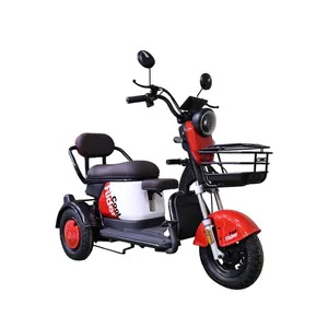 Stylish Electric Cargo Tricycle for Transporting Goods and Passengers - detail 18
