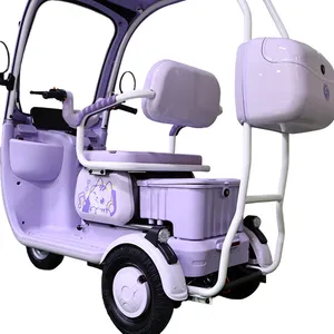 Stylish Electric Cargo Tricycle for Transporting Goods and Passengers - detail 19