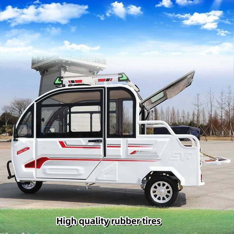 Maintenance-Free 800W Closed Solar Electric Cargo Trike Adult Electric 3 Wheel Cargo Van Tricycle Closed Body Pickup Truck - detail 2