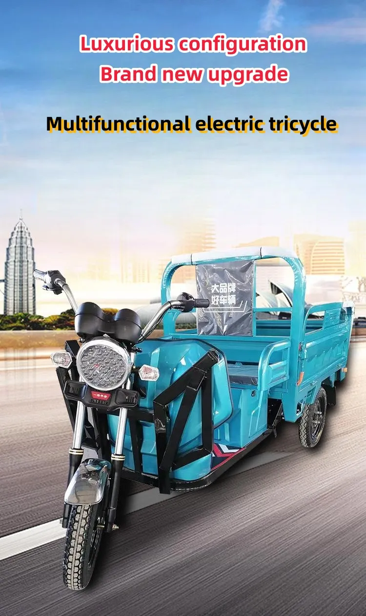 Good Hill Climbing Ability Wholesale 1000W 48V Electric Cargo Tricycle Motorized Open Body Self Dump Electric Vehicle for Delivery - detail 1