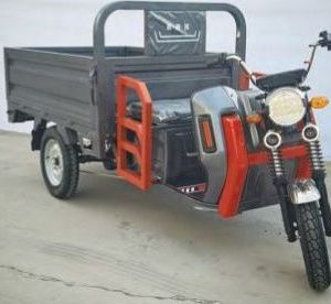 Electric Tricycle High Quality Motor Cargo Trike