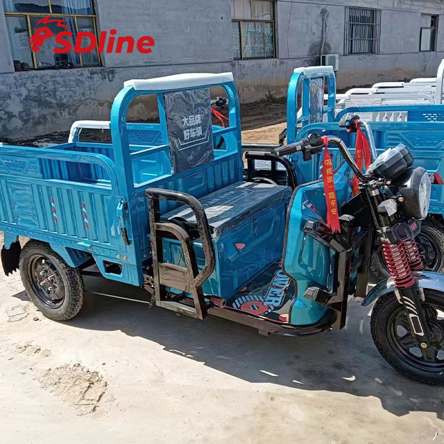 Electric Tricycle High Quality Motor Cargo Trike - Image 4