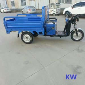 Front and Rear Disc Brake Multi-Functional Cargo-Passenger Electric Tricycle for Carrying Goods