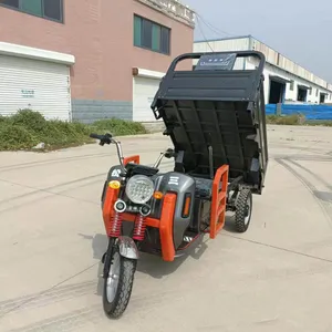 Front and Rear Disc Brake Multi-Functional Cargo-Passenger Electric Tricycle for Carrying Goods - detail 19