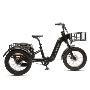 Txed 48V/500W Rear Hub Fat Tire Motor Electric Cargo Bike 3-Wheel Lithium Battery Powered Electric Tricycles