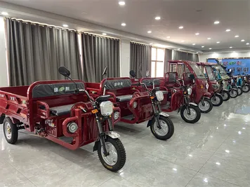 Anti Rollover Electric Dump Cargo Tricycle for Breakfast Shops - detail 10