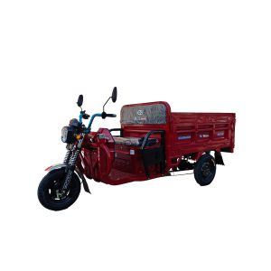 High Performance Electric Tricycle with Self-Unloading Cargo Electric Tricycle