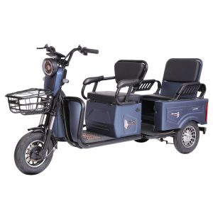 Paige Manufacturer Wholesale Custom Adult Cheap 3-Wheeled Electric Cargo Tricycle for Delivery Mini Electric Vehicle