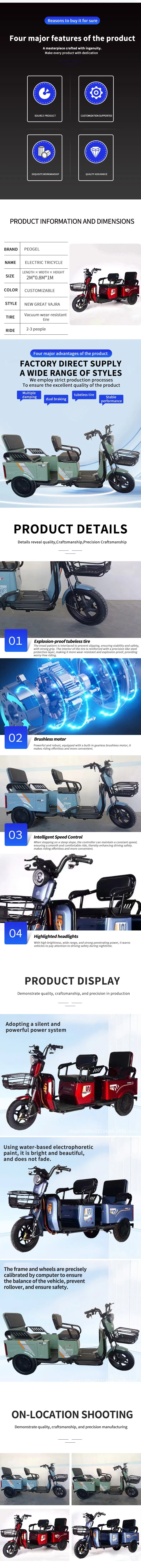 Paige Manufacturer Wholesale Custom Adult Cheap 3-Wheeled Electric Cargo Tricycle for Delivery Mini Electric Vehicle - detail 1