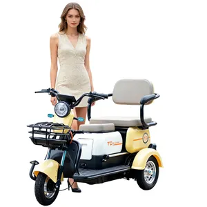 Paige Manufacturer Wholesale Custom Adult Cheap 3-Wheeled Electric Cargo Tricycle for Delivery Mini Electric Vehicle - detail 14