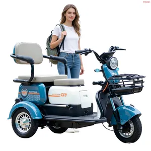 Paige Manufacturer Wholesale Custom Adult Cheap 3-Wheeled Electric Cargo Tricycle for Delivery Mini Electric Vehicle - detail 17