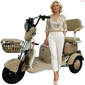 Paige Manufacturer Wholesale Custom Adult Cheap 3-Wheeled Electric Cargo Tricycle for Delivery Mini Electric Vehicle - detail 18