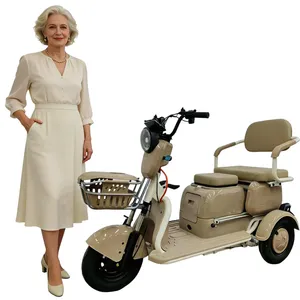 Paige Manufacturer Wholesale Custom Adult Cheap 3-Wheeled Electric Cargo Tricycle for Delivery Mini Electric Vehicle - detail 19
