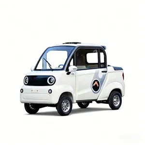 Low Price Wholesale Adult Electric Cargo Tricycle Scooter - detail 19