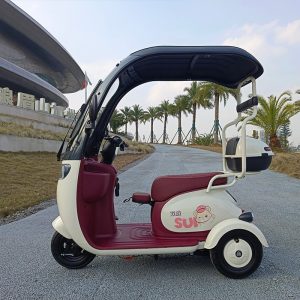 Electric Tricycle 60V 7-9ah Lead-Acid Battery 500-800W Rear Hub 3-Wheel Cargo Multi-Functional Hill-Climbing Capability