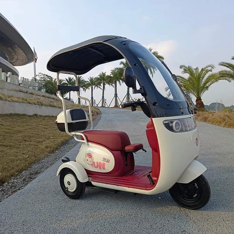 Electric Tricycle 60V 7-9ah Lead-Acid Battery 500-800W Rear Hub 3-Wheel Cargo Multi-Functional Hill-Climbing Capability - detail 3
