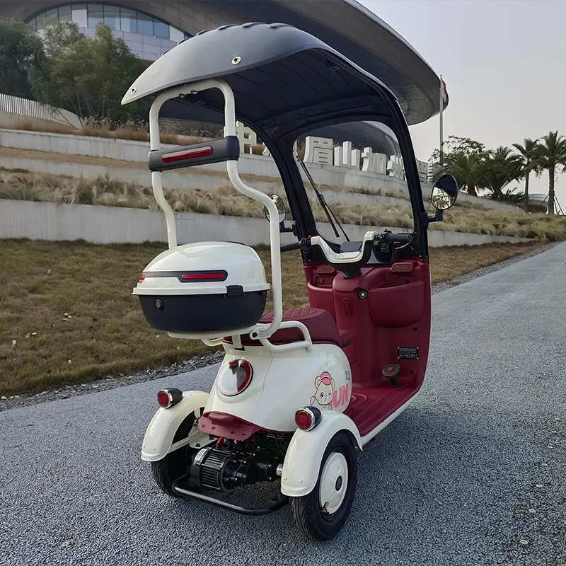 Electric Tricycle 60V 7-9ah Lead-Acid Battery 500-800W Rear Hub 3-Wheel Cargo Multi-Functional Hill-Climbing Capability - detail 4