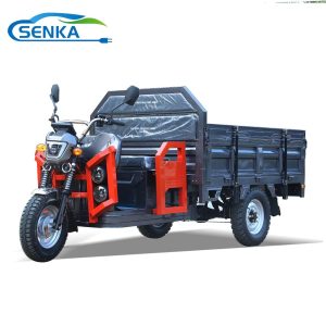 Senka Strong Adult Electric Tricycle for Deliver Use with 1.8m Cargo Box