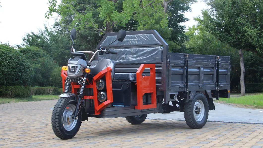 Senka Strong Adult Electric Tricycle for Deliver Use with 1.8m Cargo Box - detail 1