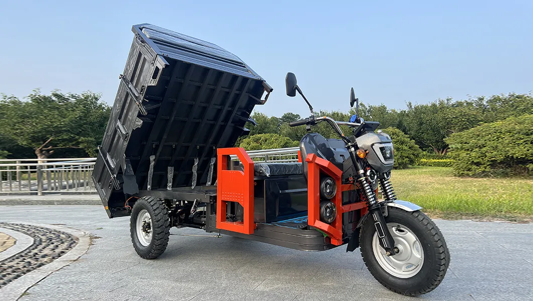 Senka Strong Adult Electric Tricycle for Deliver Use with 1.8m Cargo Box - detail 2