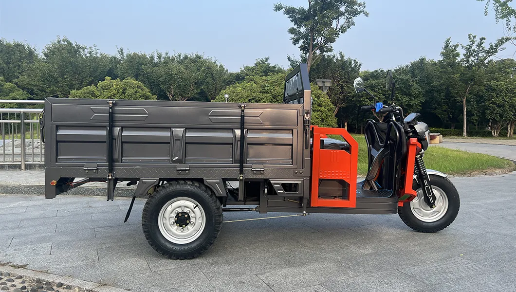 Senka Strong Adult Electric Tricycle for Deliver Use with 1.8m Cargo Box - detail 3