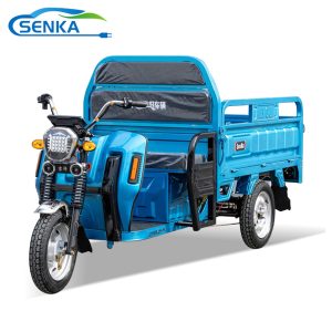 Senka Cheap 3 Wheel Adult Electric Motorcycle Trike Motor Cargo Tricycle for Farmer Use