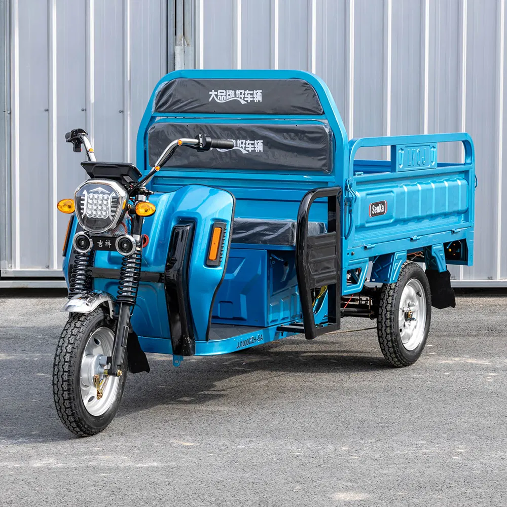 Senka Cheap 3 Wheel Adult Electric Motorcycle Trike Motor Cargo Tricycle for Farmer Use - detail 1