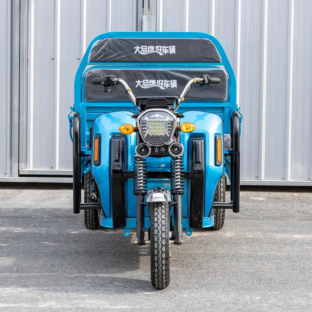 Senka Cheap 3 Wheel Adult Electric Motorcycle Trike Motor Cargo Tricycle for Farmer Use - detail 2