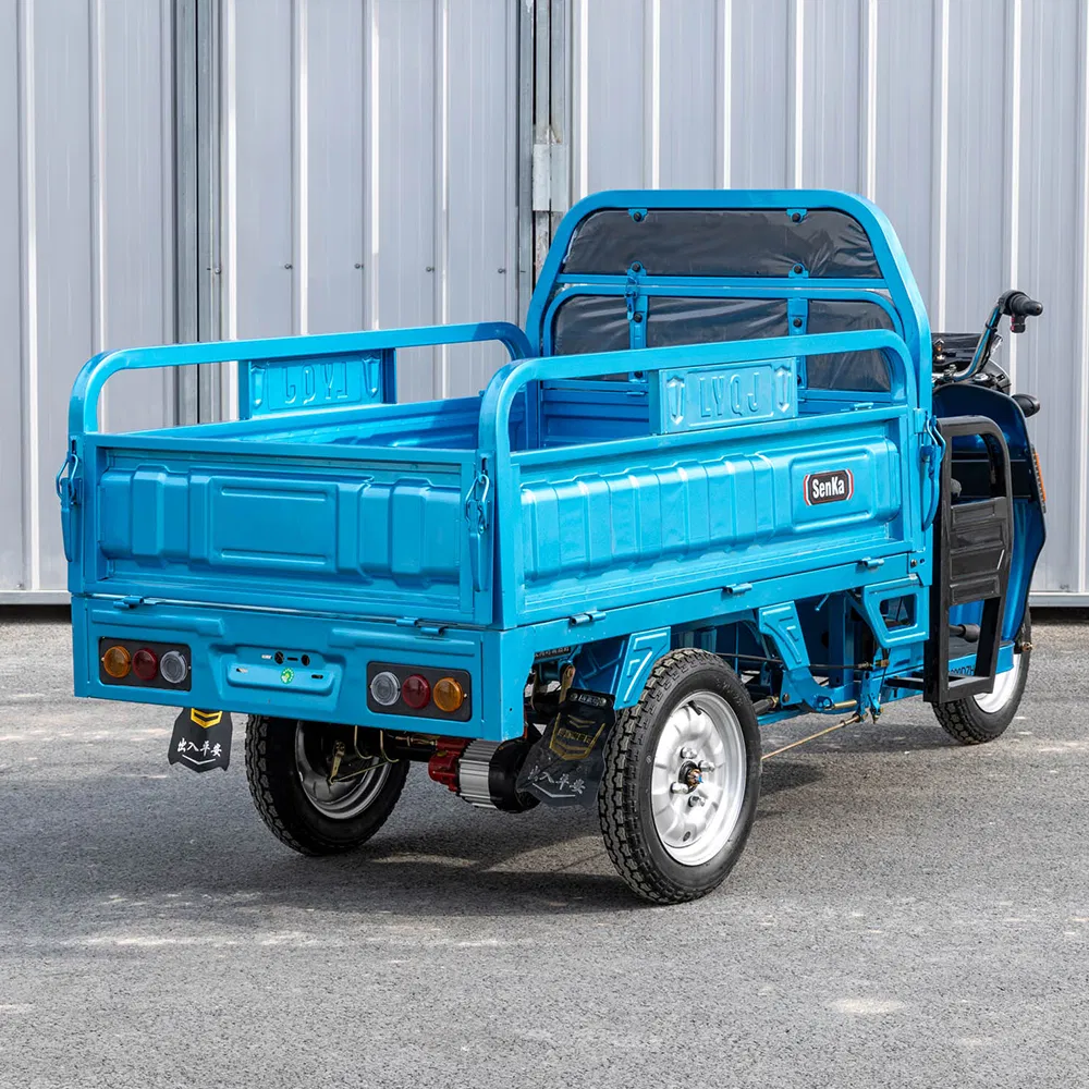 Senka Cheap 3 Wheel Adult Electric Motorcycle Trike Motor Cargo Tricycle for Farmer Use - detail 3