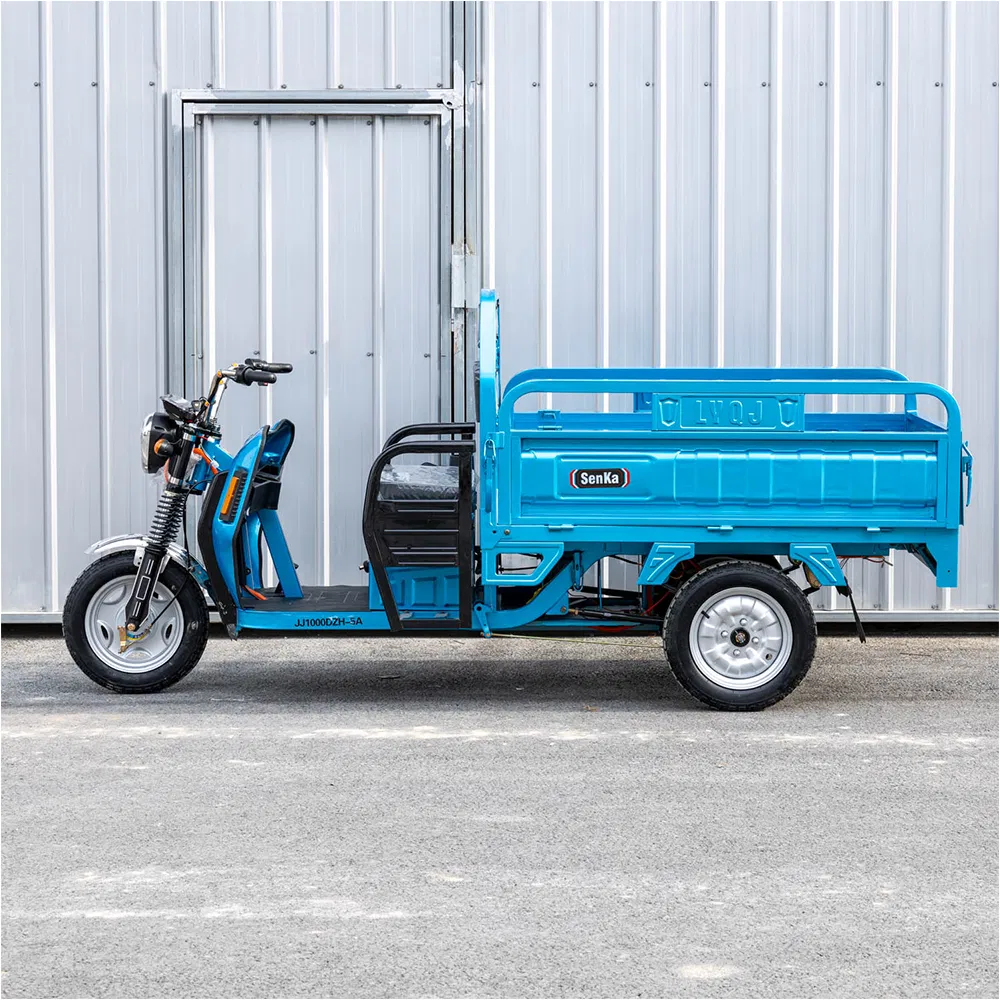 Senka Cheap 3 Wheel Adult Electric Motorcycle Trike Motor Cargo Tricycle for Farmer Use - detail 4